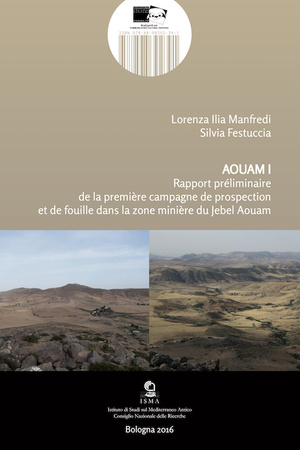 AOUAM I. Rapport préliminaire de la première campagne de prospection et de fouille dans la zone minière du Jebel Aouam